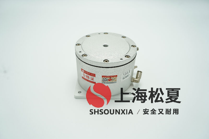 電廠石膏漿液安裝SDS充氣減震器的技術(shù)探討